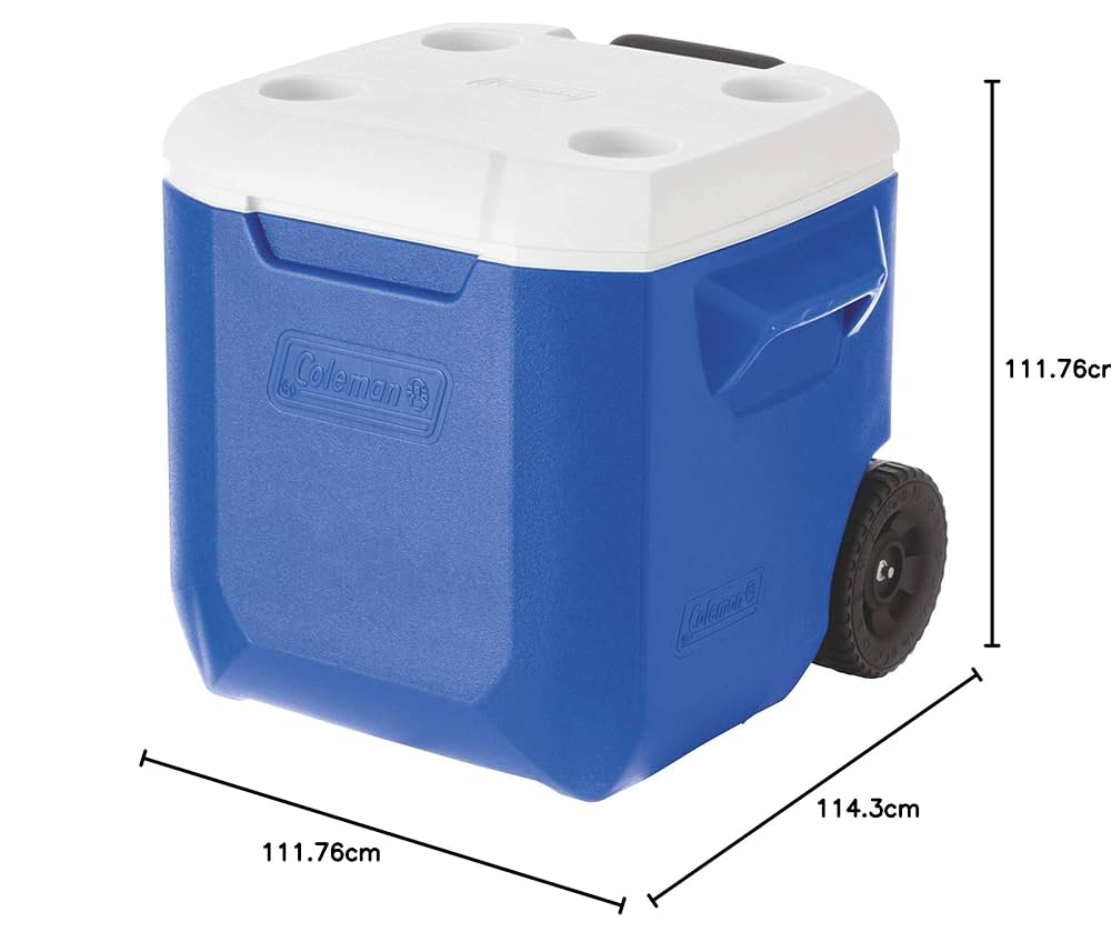 71hlqwk+TiL._UF1000,1000_QL80_.jpg